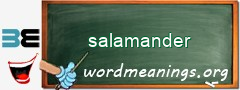 WordMeaning blackboard for salamander